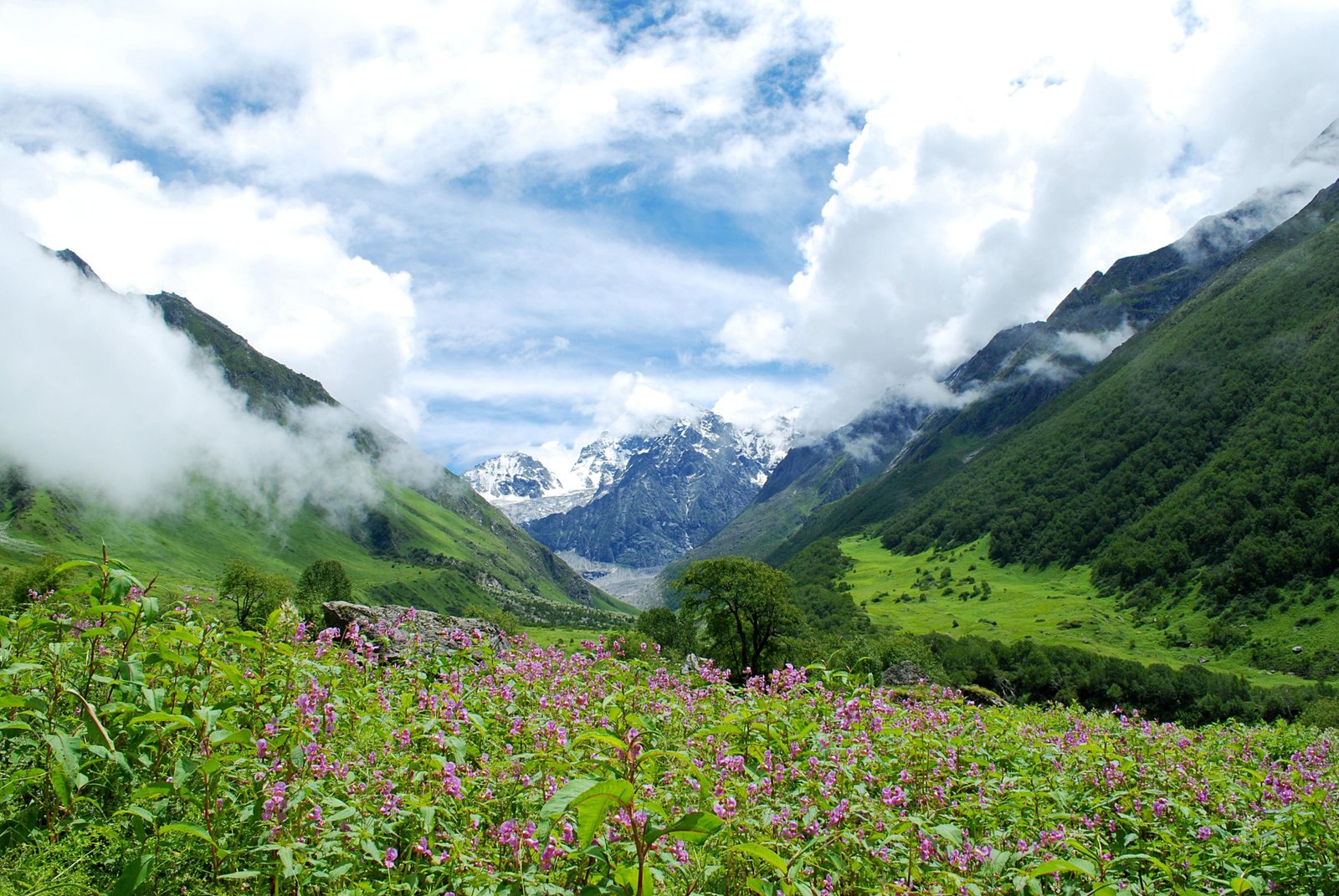 Valley of Flowers, Hemkund Sahib and Badrinath Trip